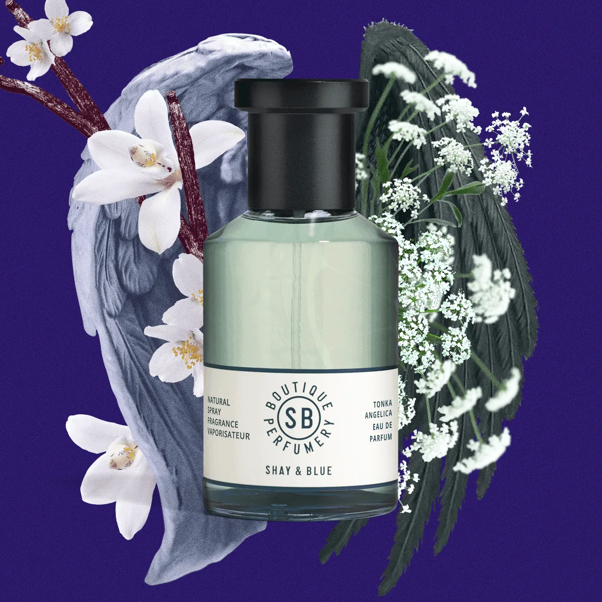 Tonka Angelica Fragrance 100ml: An In-Depth Review