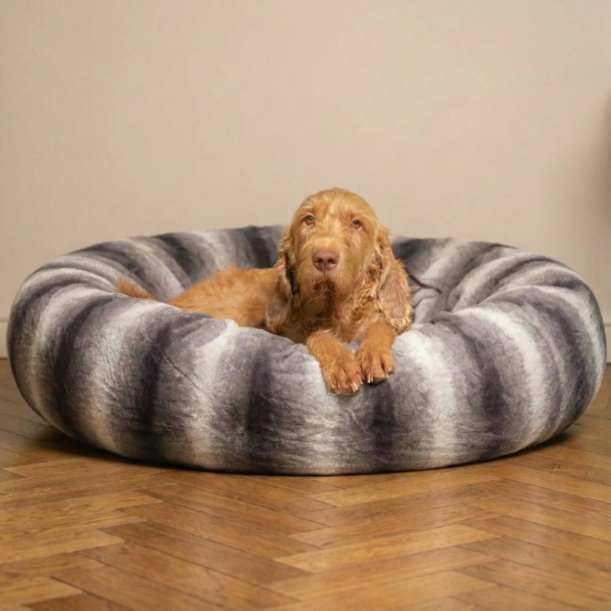 Why Choose a Donut Dog Bed for Anxious Dogs