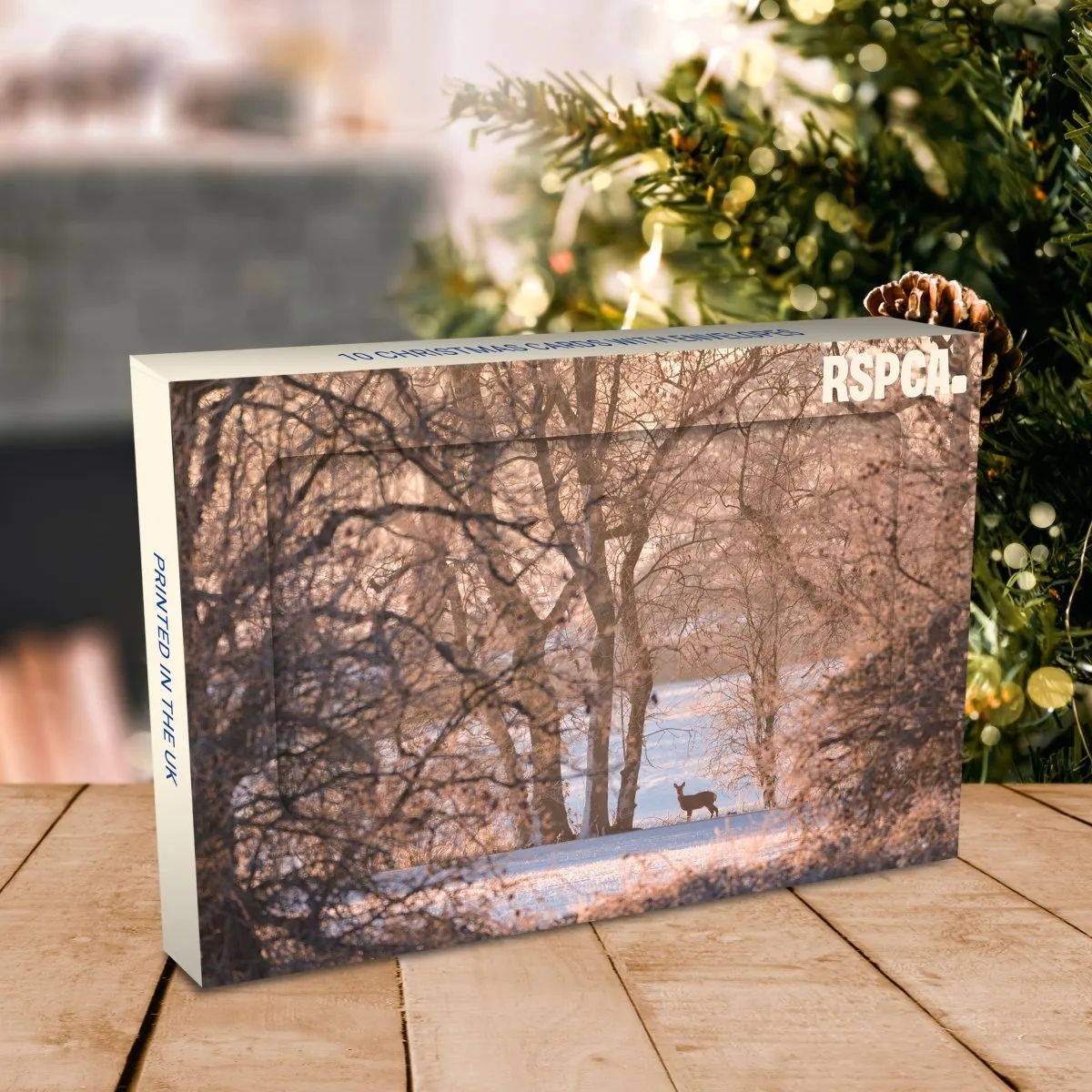 What to Write in an RSPCA Young Photographer Award Christmas Card