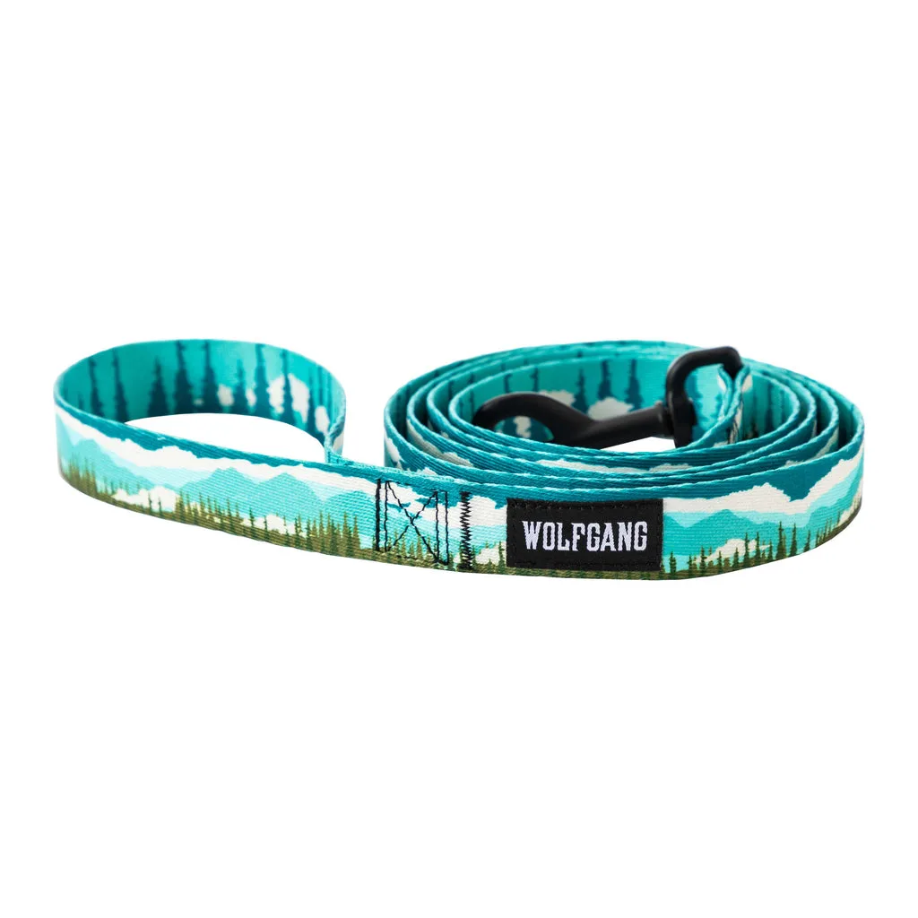 How to Clean and Maintain Your Dog's Leash: A Complete Guide
