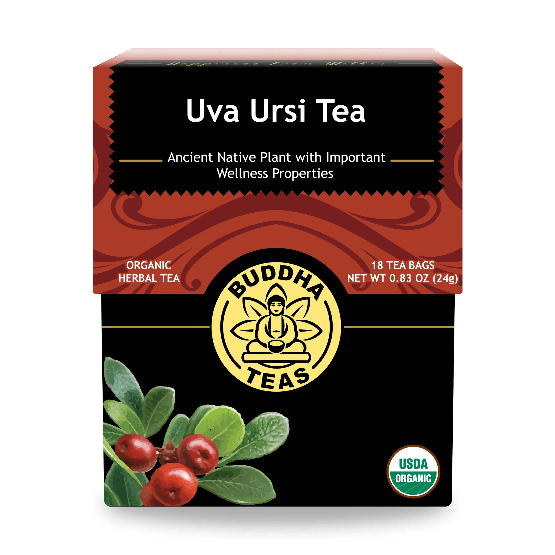Chá de uva-ursi: utilizações, segurança e preparação