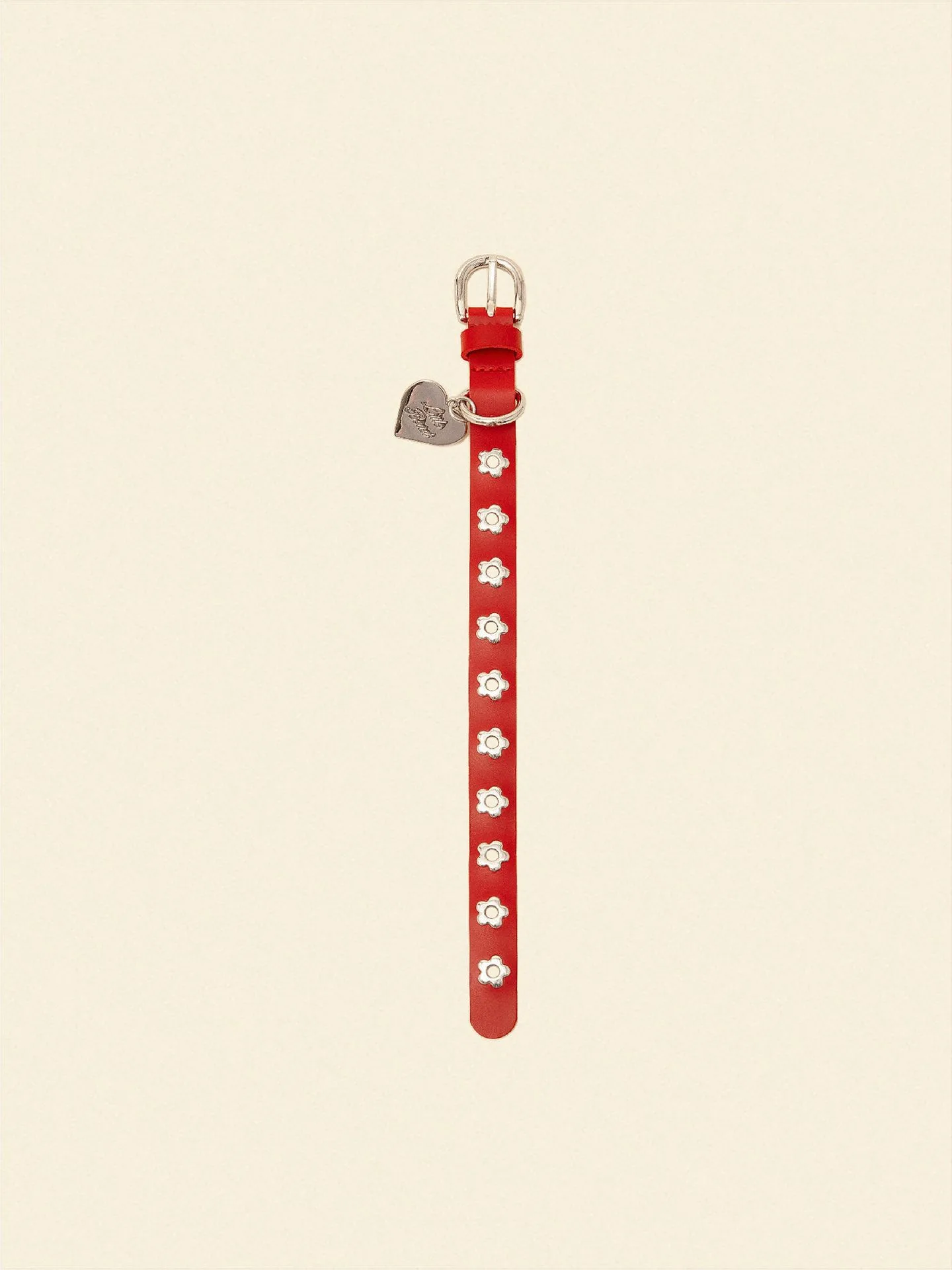How to Clean and Maintain Dog Collars and Leashes: A Step-by-Step Care Guide