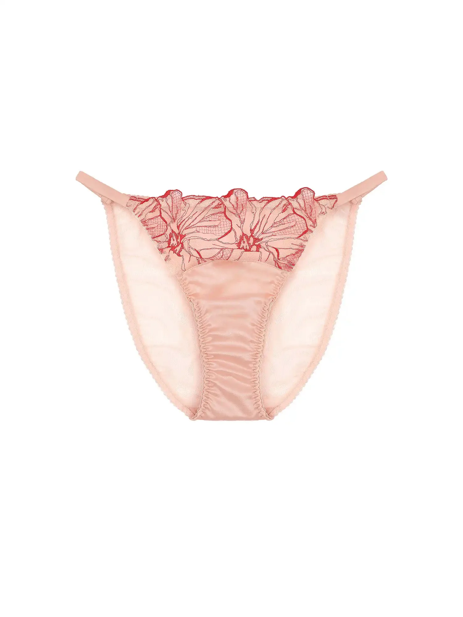Rosa Embroidered Brief