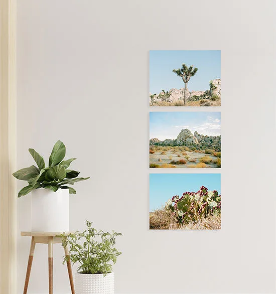 Canvas Stack vs Classic Stack: Gallery Wall Comparison
