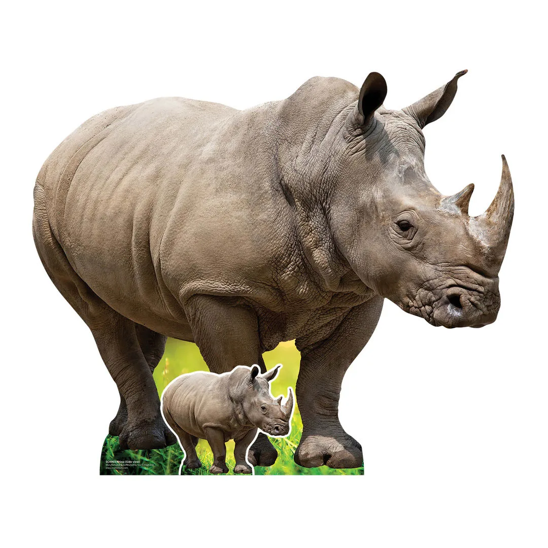 Lifesize Cardboard Cutouts for Kids Room or Party
