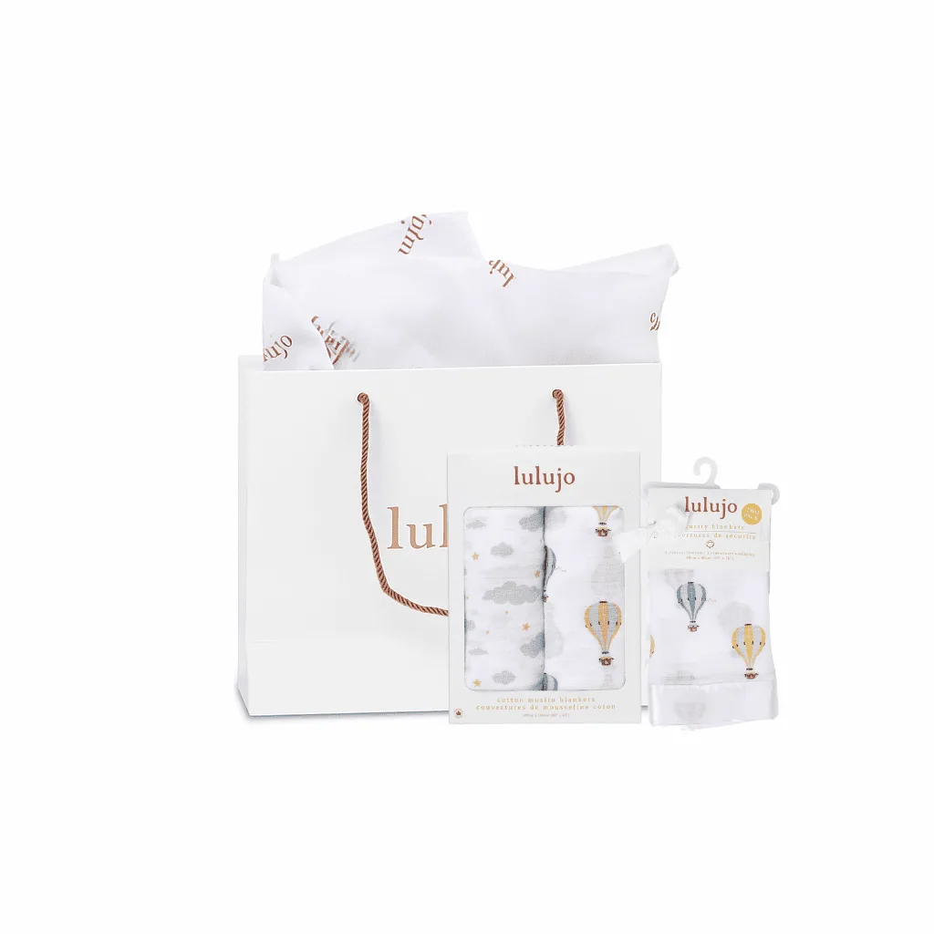 Hot Air Balloons Gift Bundle