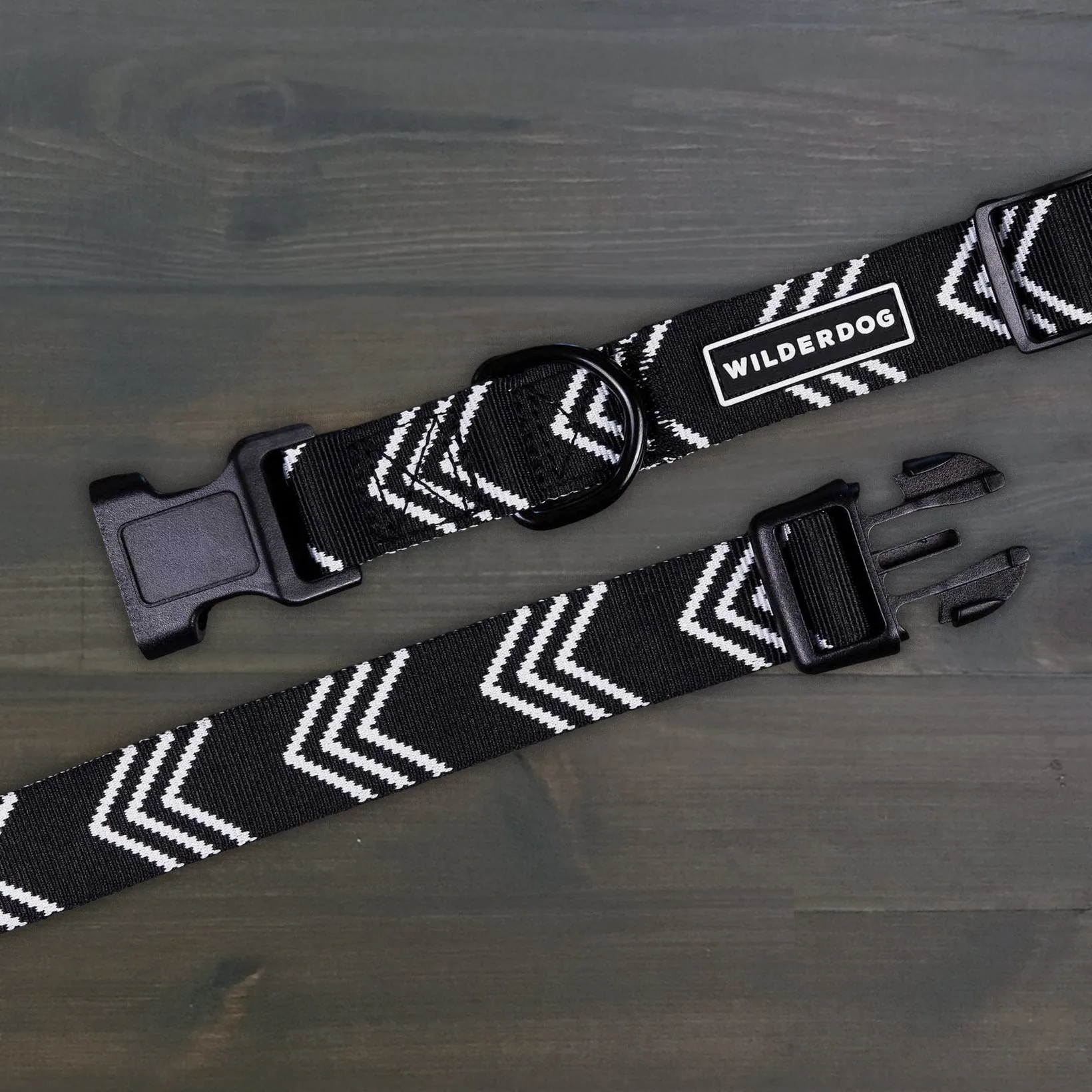 Waterproof Dog Gear for Rainy Adventures: What You Need to Stay Dry
