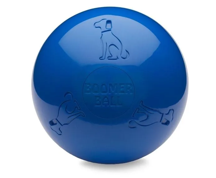 Zo laat u uw hond kennismaken met een Boomer Ball