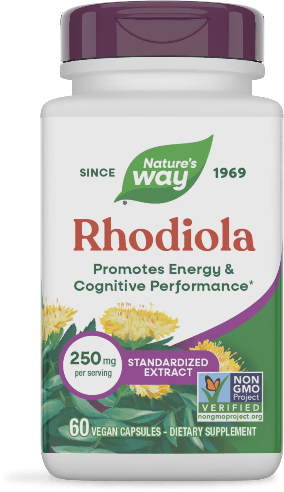 Rhodiola