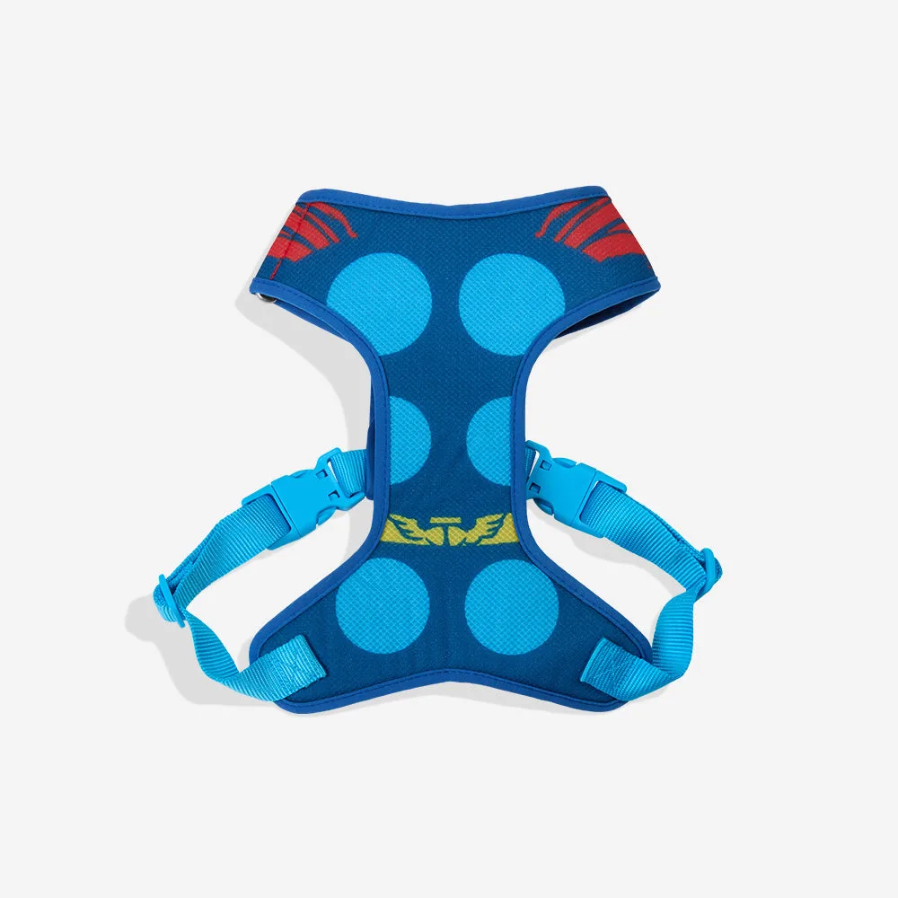 How to Choose the Best Breathable Mesh Dog Harness for Hot Weather
