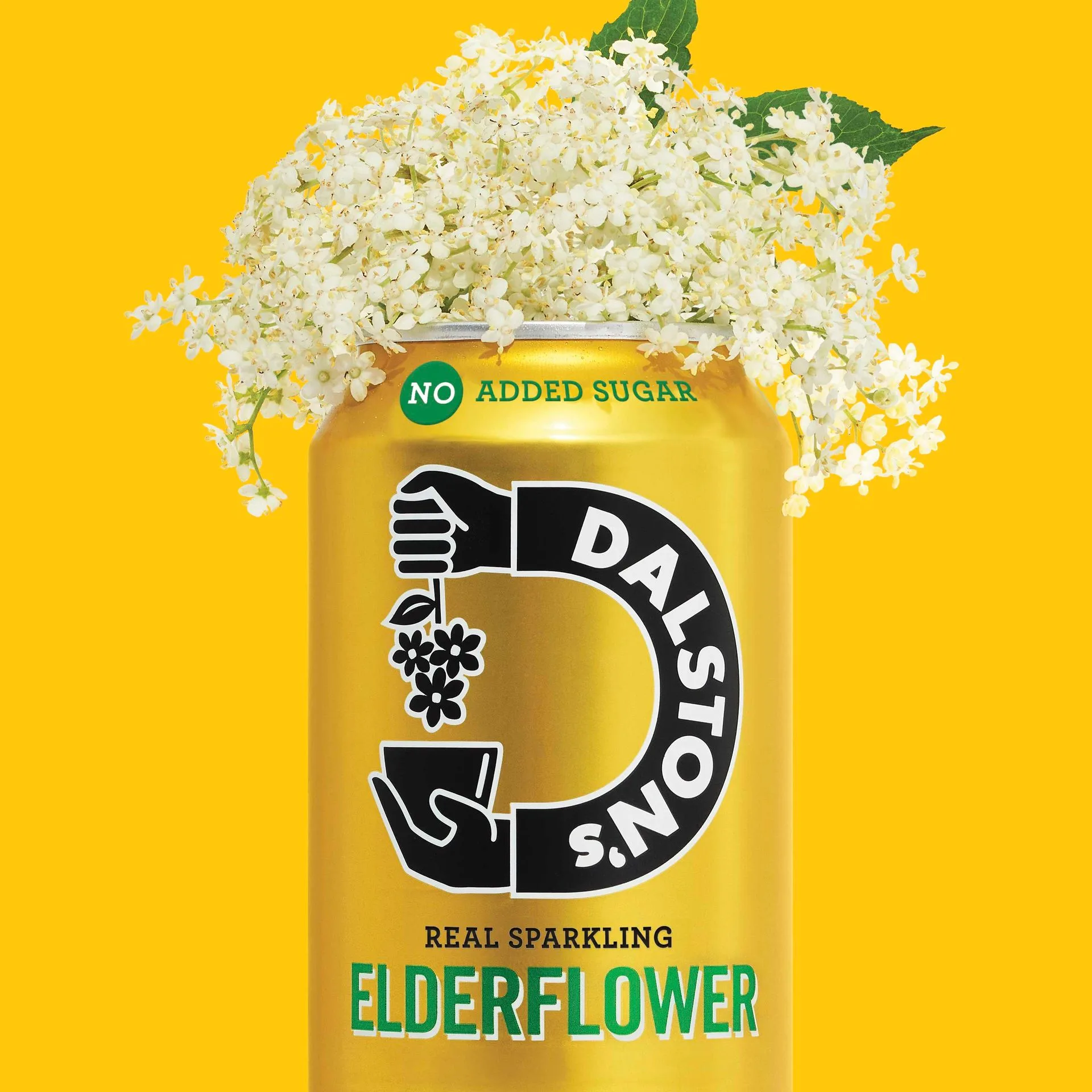 Dalston's Rhubarb vs Elderflower: Which Chef-Made Soda Wins?