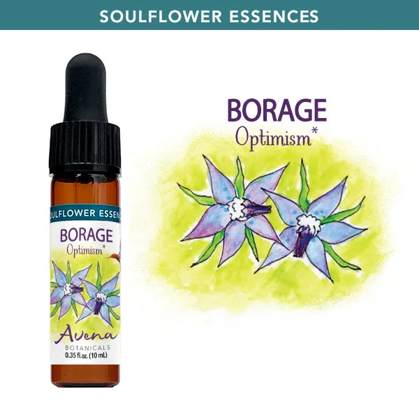 How to Choose a Flower Essence for Emotional Balance