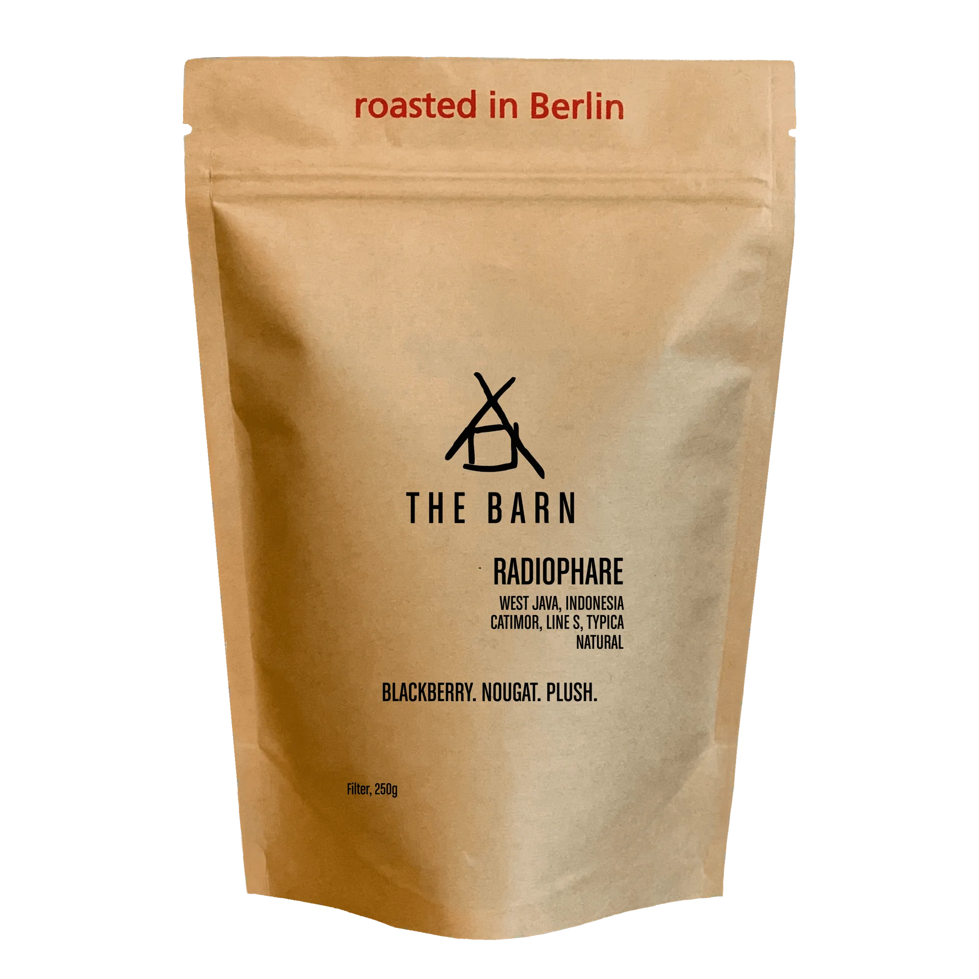 How to Brew the Perfect Cup with RADIOPHARE: A Classic Profile Guide