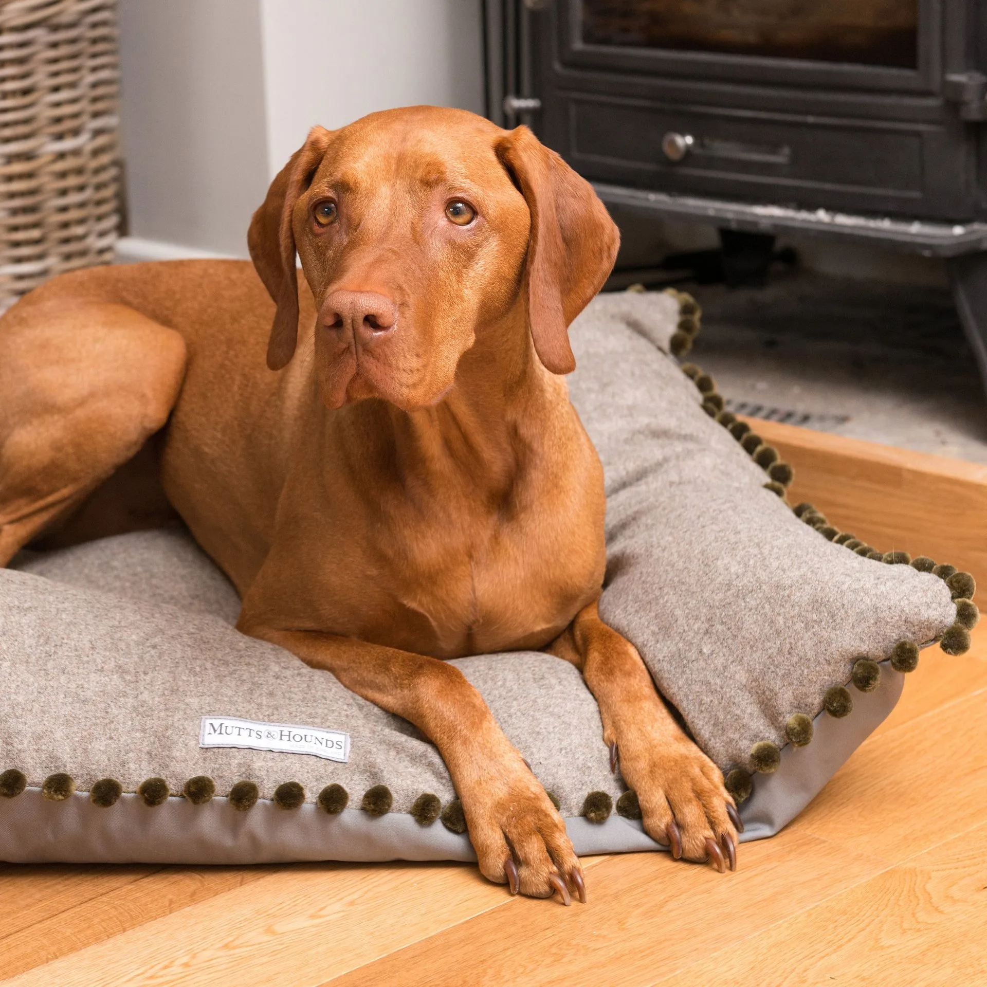 Camas de Cão Elegantes: Opções de Tweed e Couro para Donos de Animais Preocupados com o Design