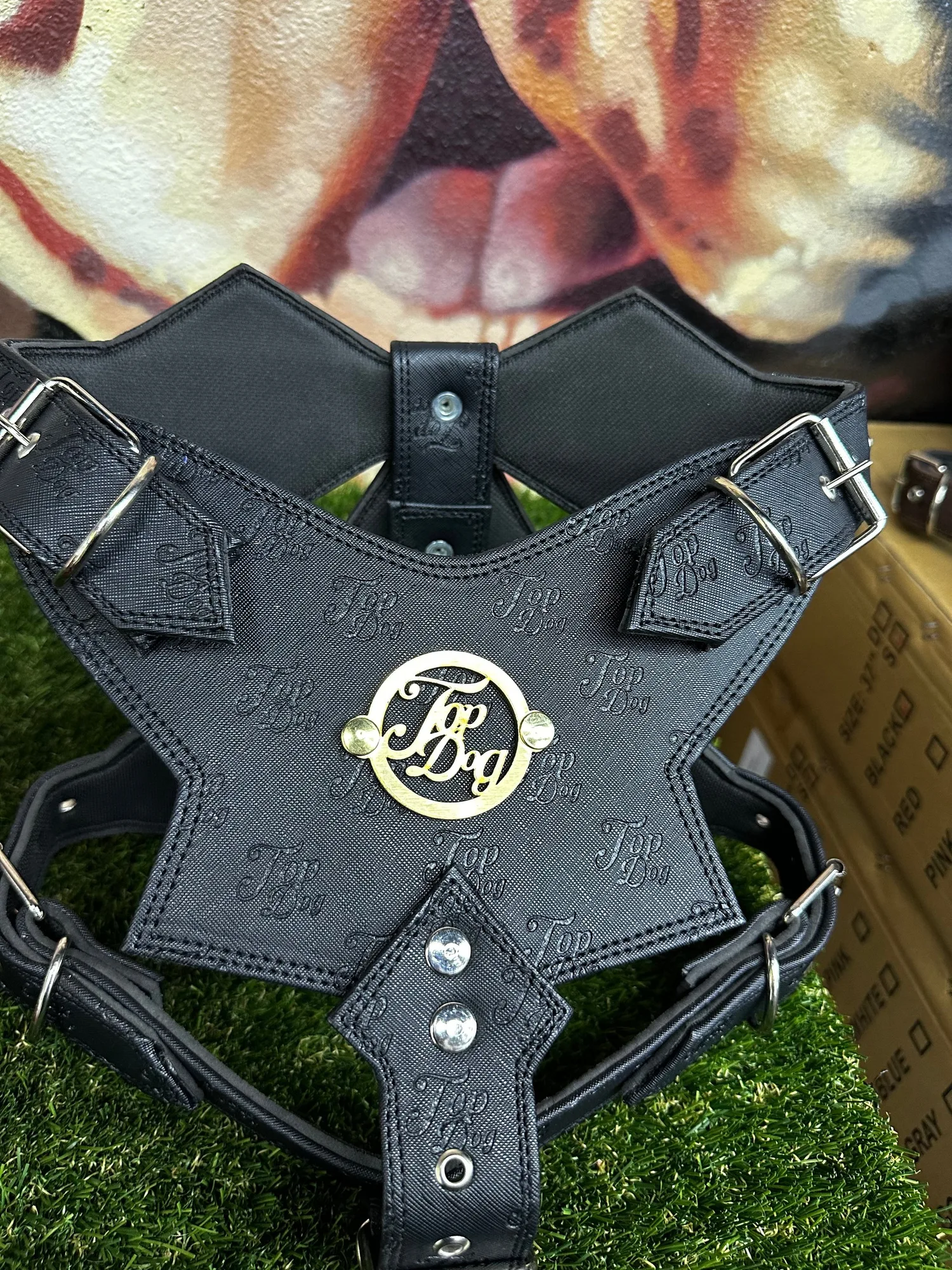 Pettorina per cani in pelle nera vs pettorine standard