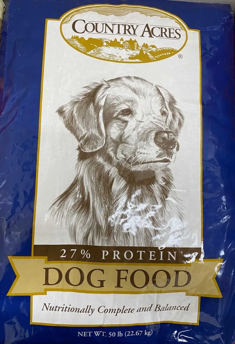 如何為活躍犬種挑選狗糧