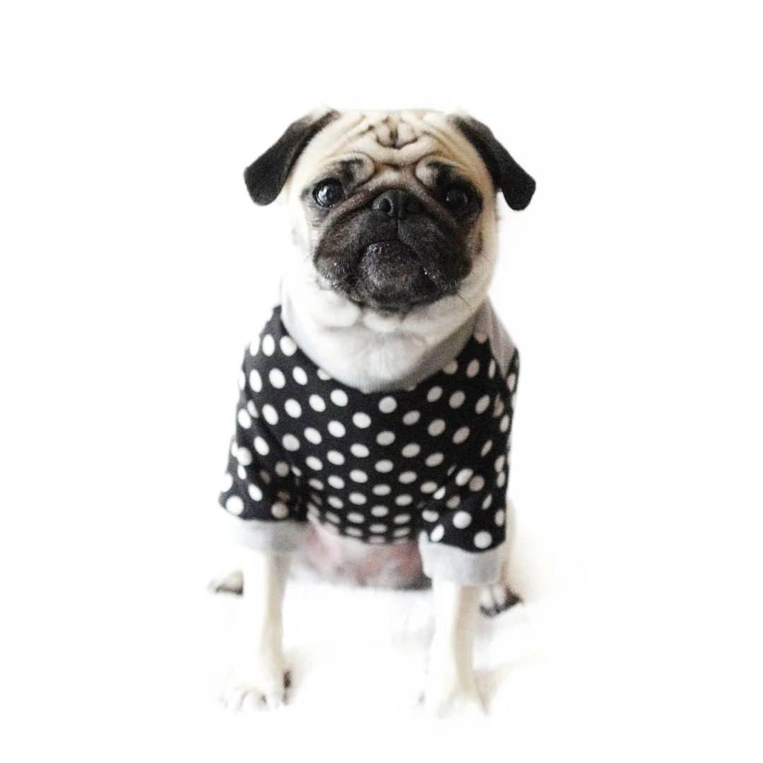 Why Velvet Harnesses Are the Latest Trend in Dog Walking Gear