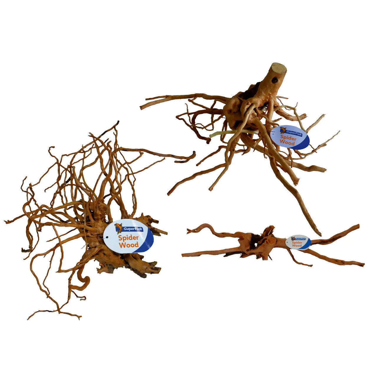Spiderwood 20-60cm
