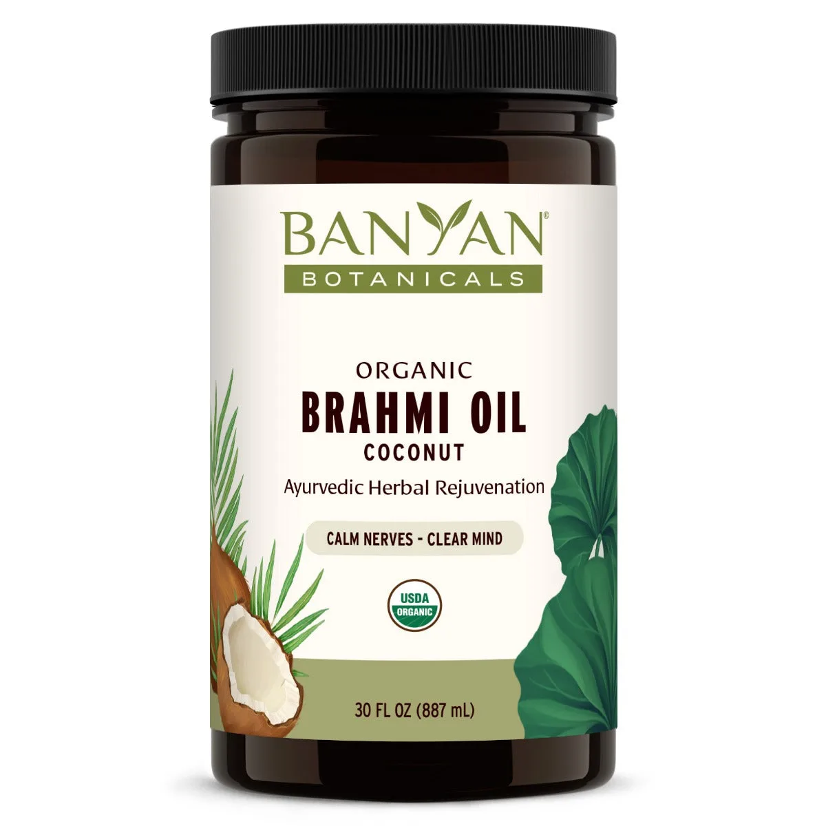 Exploring the Benefits of Brahmi for Brain Health and Memory