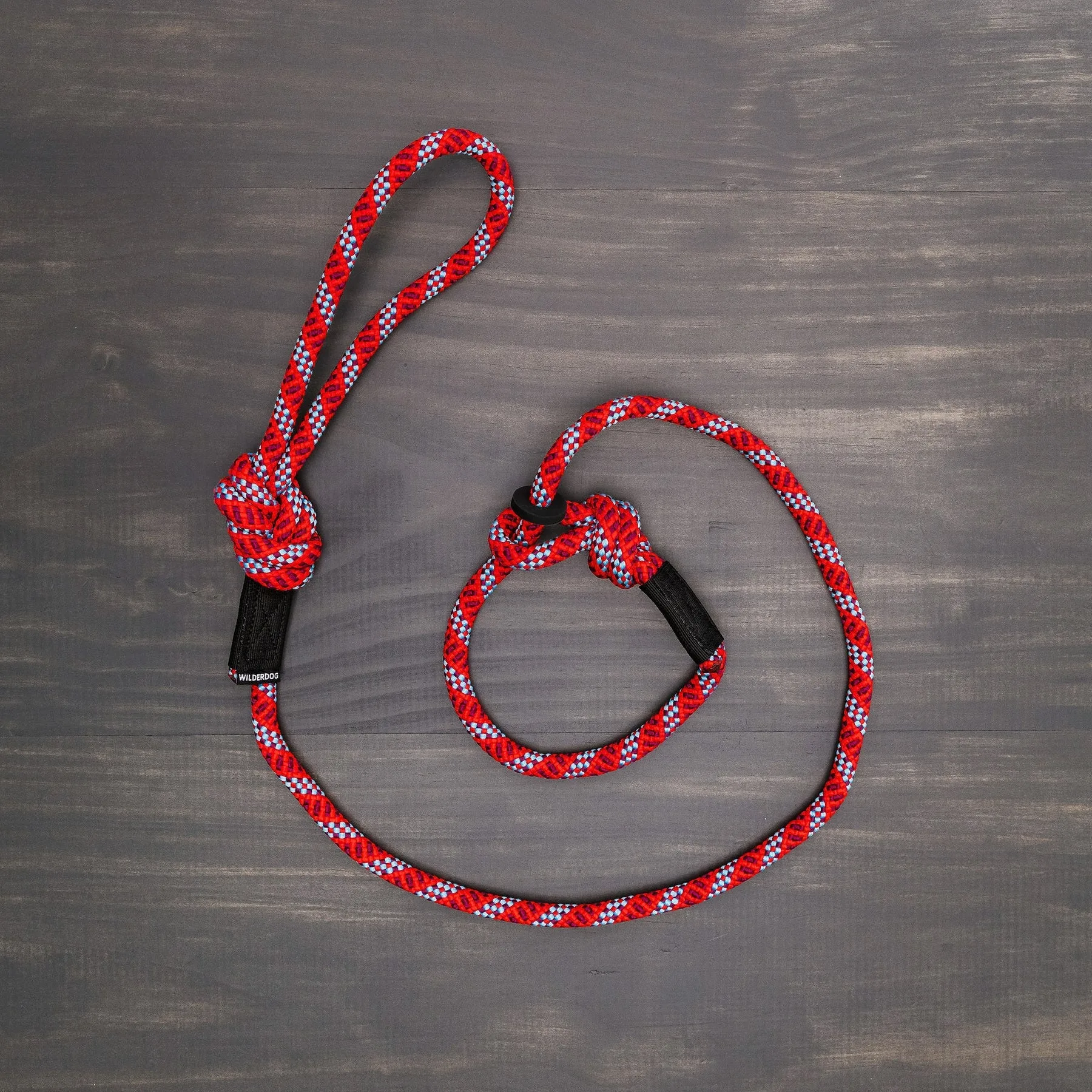 Expert Tips for Using a Slip Lead on Hikes with Your Dog