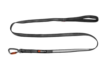 Bungee Leash Double vs. Two Separate Leashes: Which Is Better?