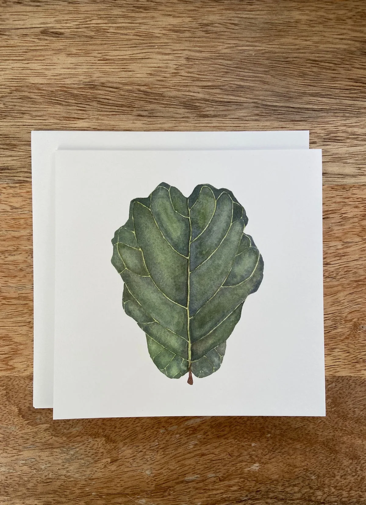 Why Your Fiddle Leaf Fig Needs a Care Card