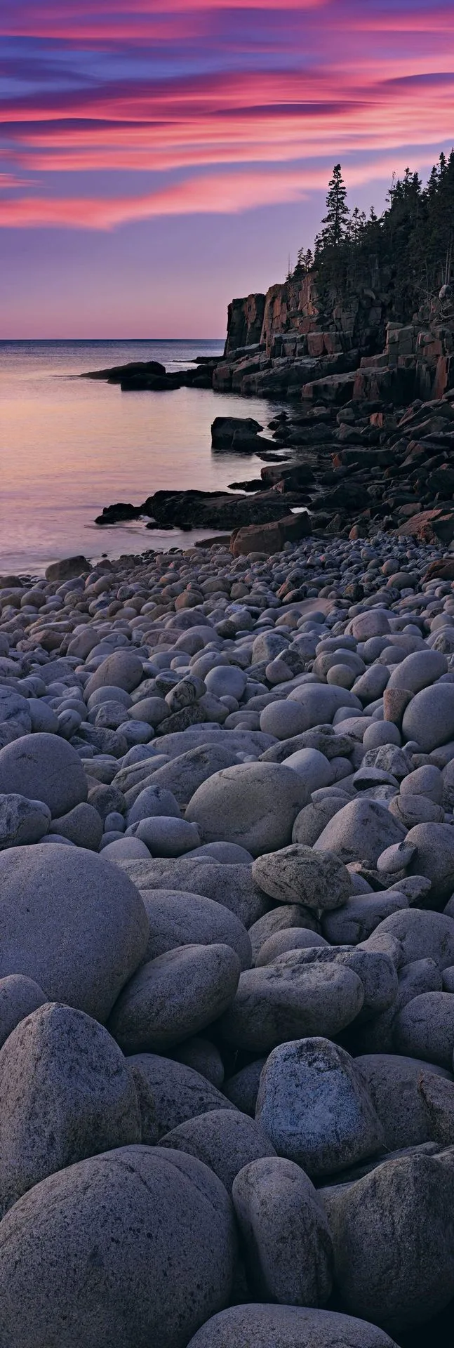 Water vs. Beach Collection: Which Ocean Art Style Fits Your Coastal Home?