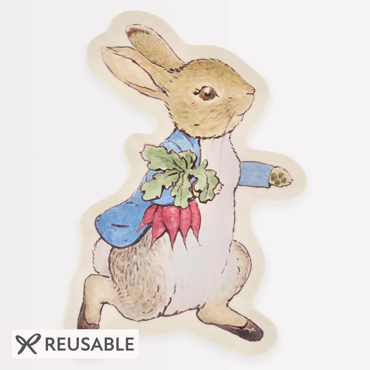 Peter Rabbit™ Reusable Plate x 1
