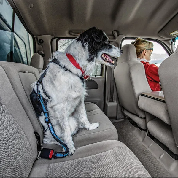 Direct to Seatbelt Bungee Tether Review: Freedom and Safety for Traveling Dogs