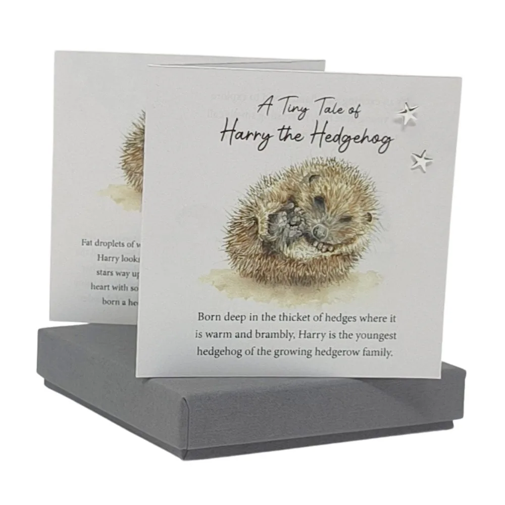 Tiny Tale Of Harry the Hedgehog Extending Card With Silver Earrings