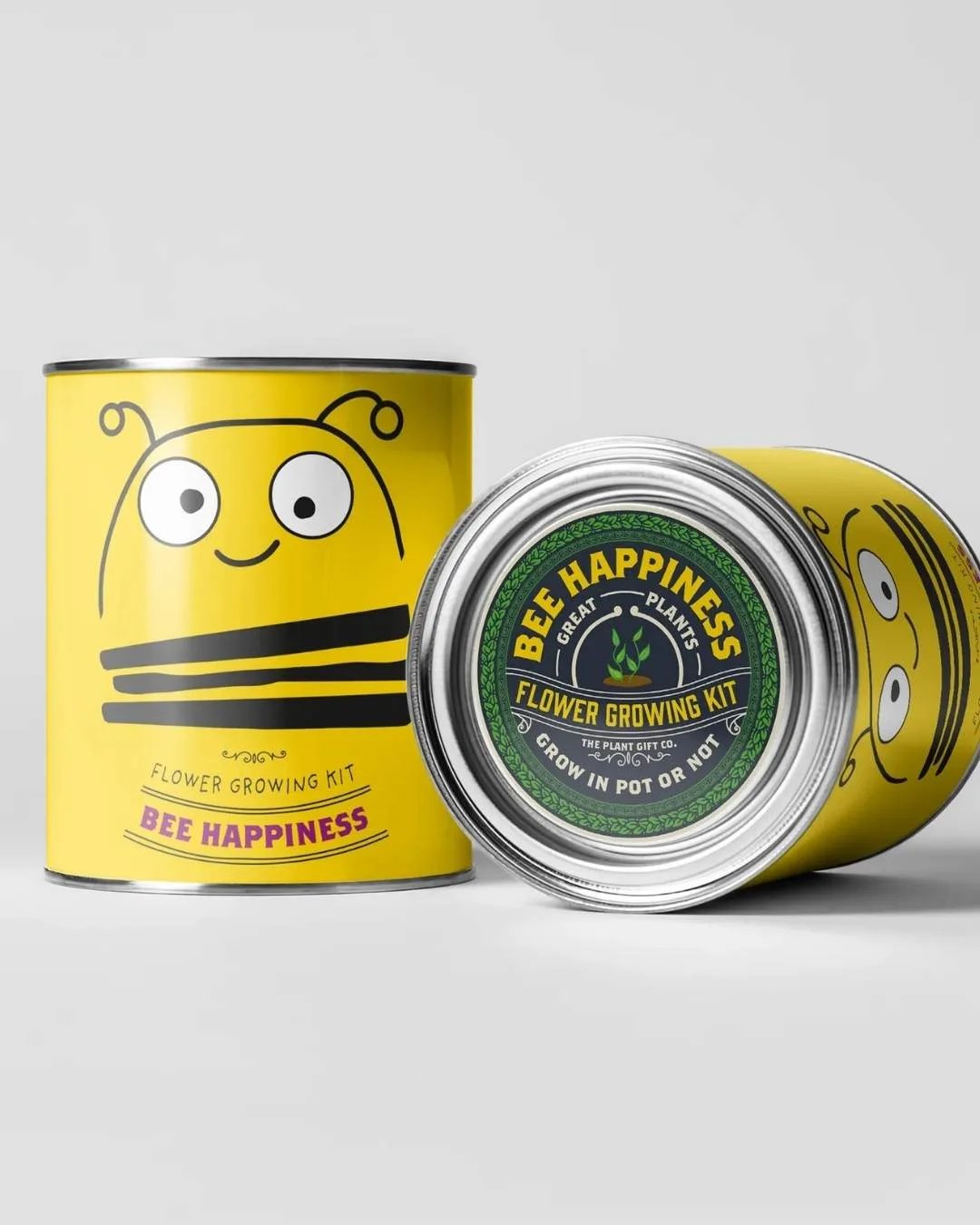 Bee Happiness - Kit de cultivo de flores