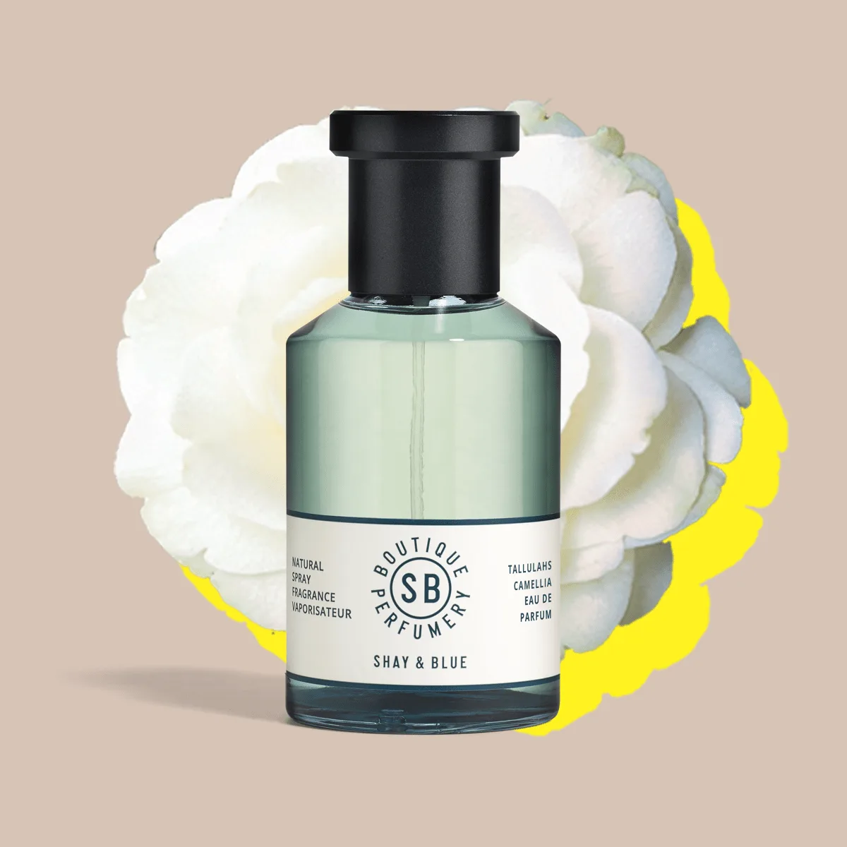 Fragancia Tallulahs Camellia: Notas y guía de duración