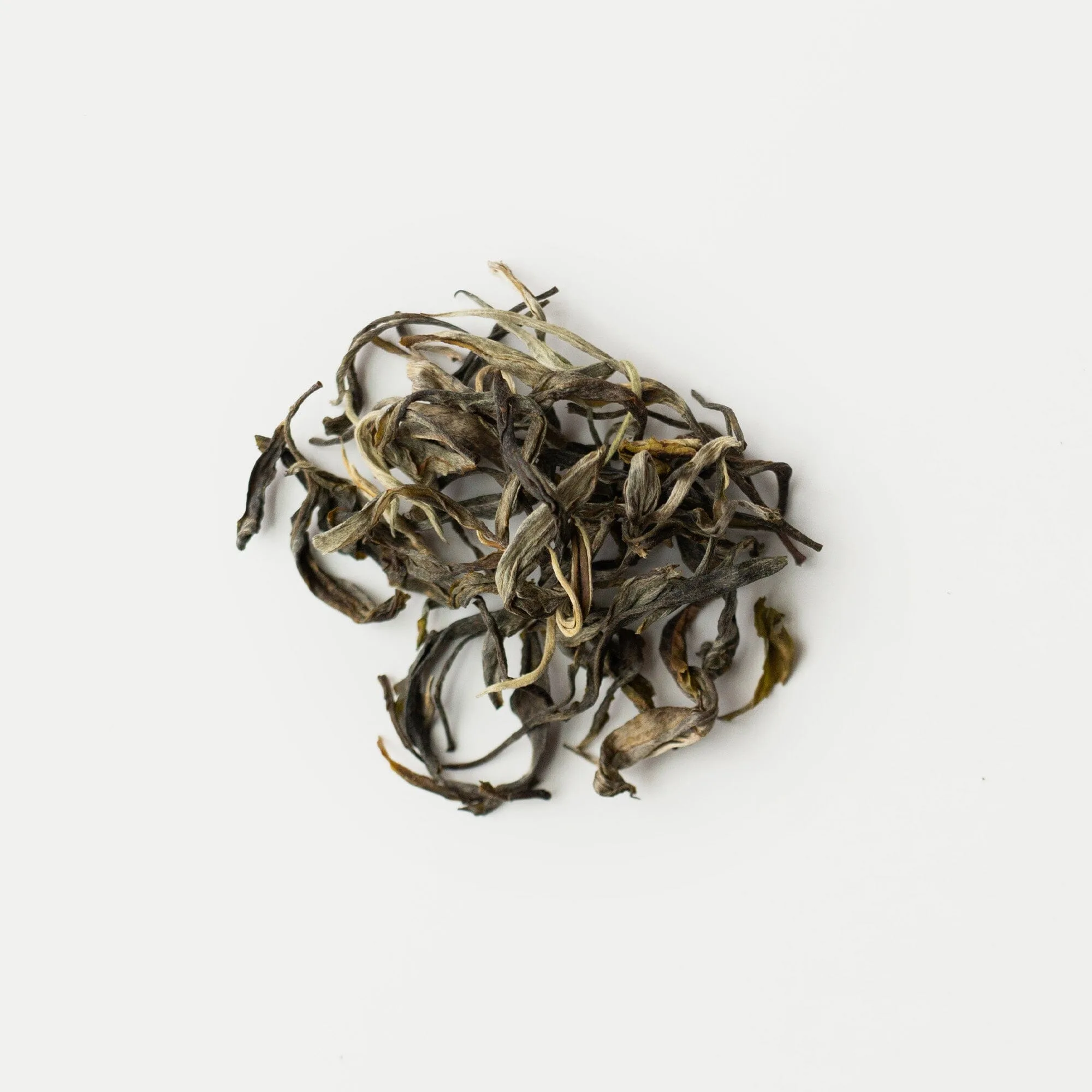 How to Brew Gongnong Shaiqing Premium 2026 Vintage: A Complete Aged White Tea Guide