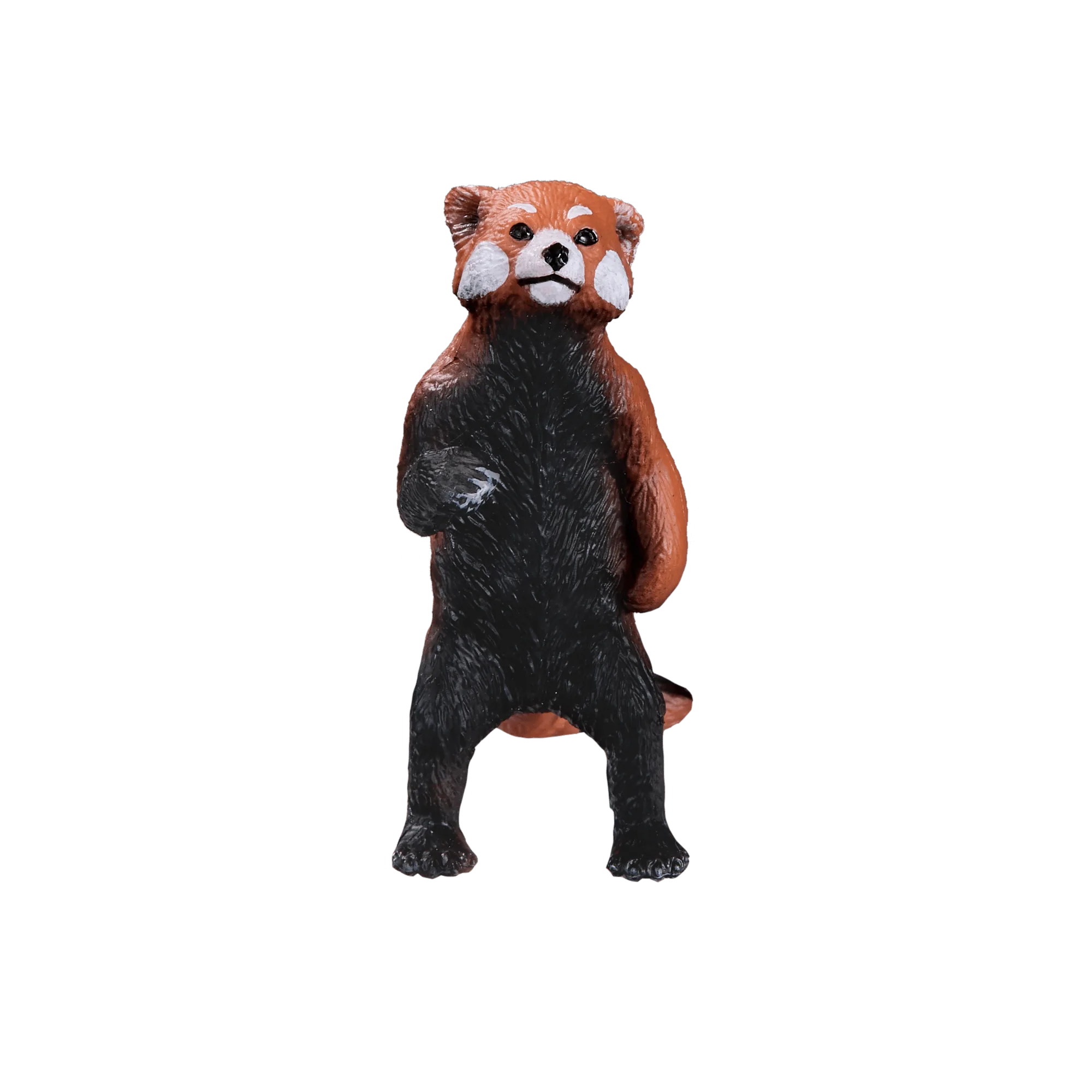 Red Panda