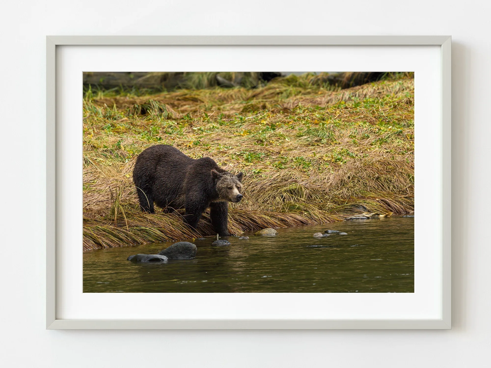 How to Choose Limited Edition Print Size for a Large Wall