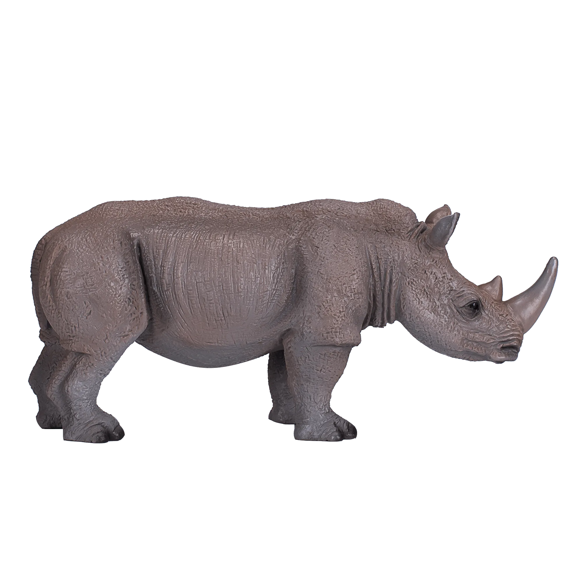 White Rhinoceros