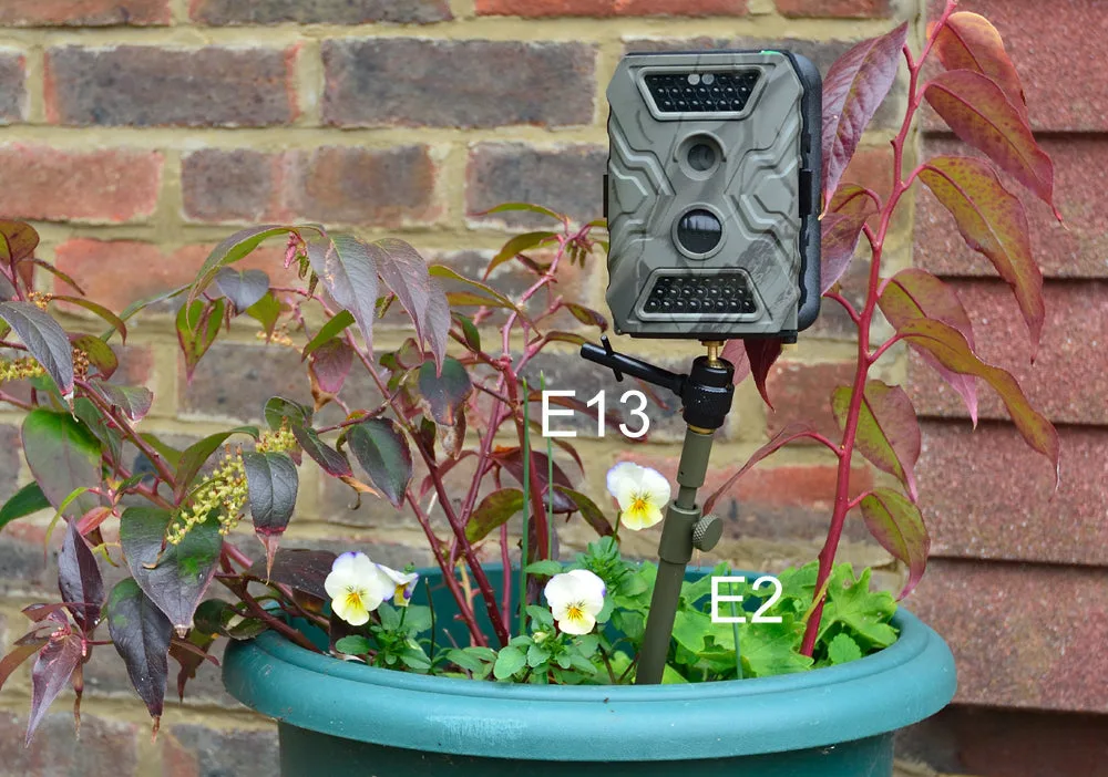 E2 Small ground spike