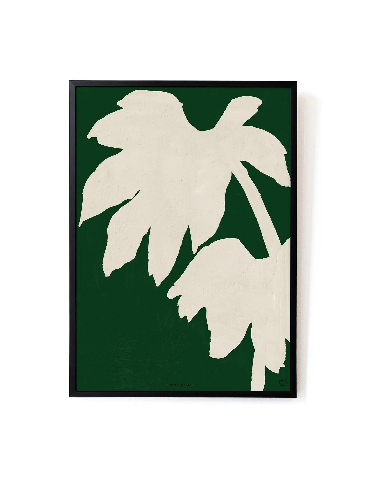 Japonica by Elaine Field