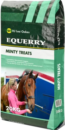 Equerry Horse Feeds Minty Horse Treats 20kg
