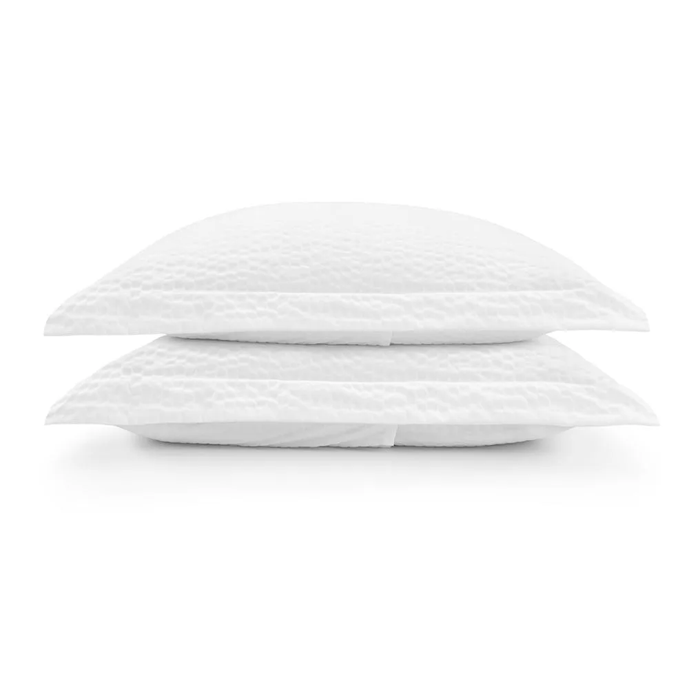 Sustainable Bedding: The Rise of Eco-Friendly Materials & Practices