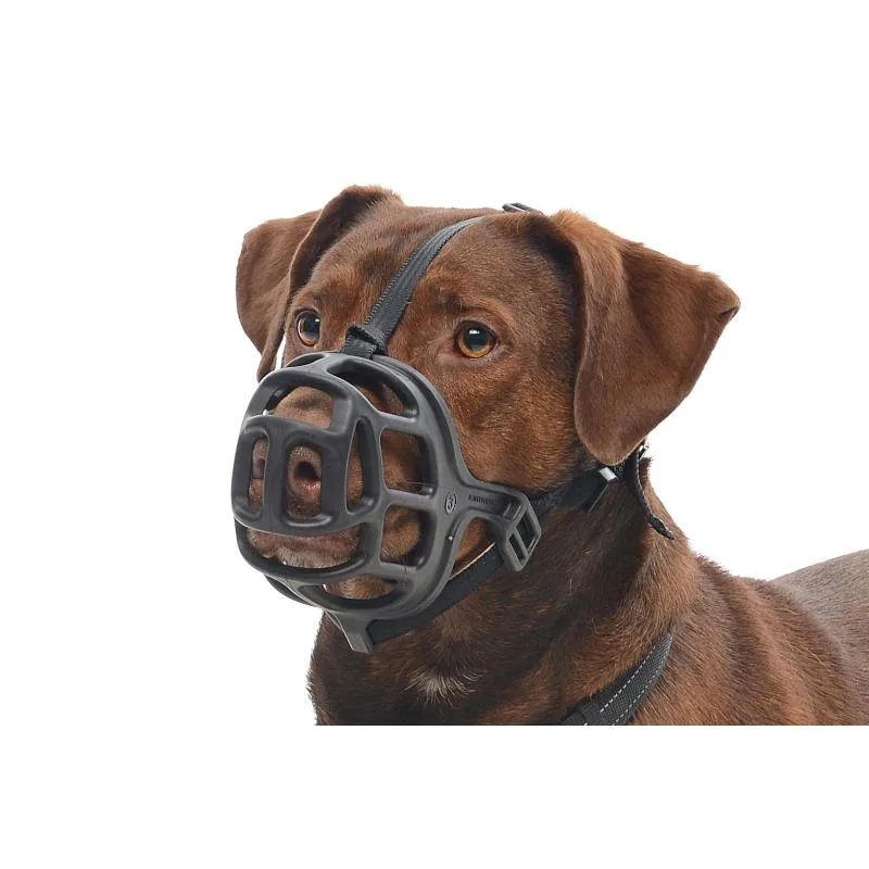Nylon vs Extreme Dog Muzzle: Which One to Choose?
