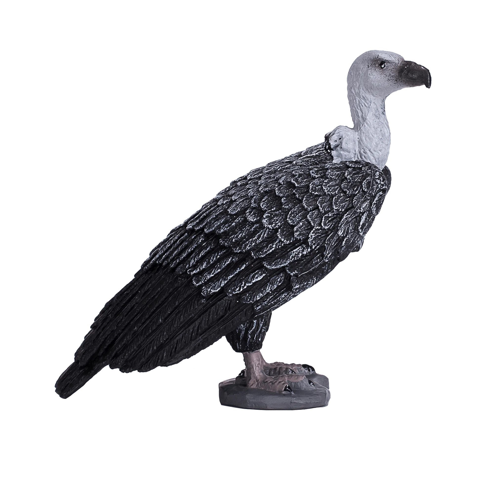 Griffon Vulture