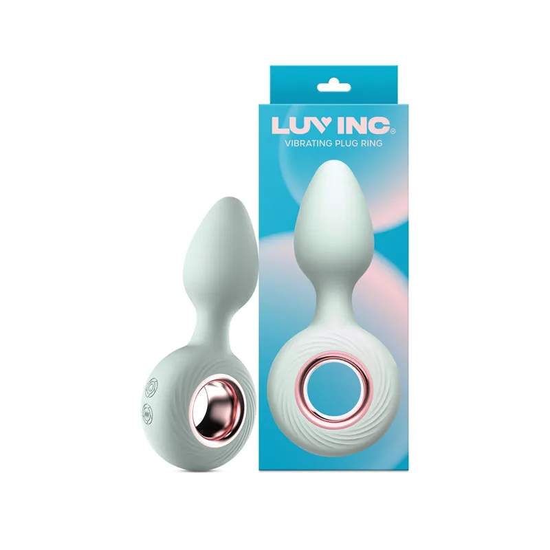 Anal Vibrator Buying Guide for Beginners