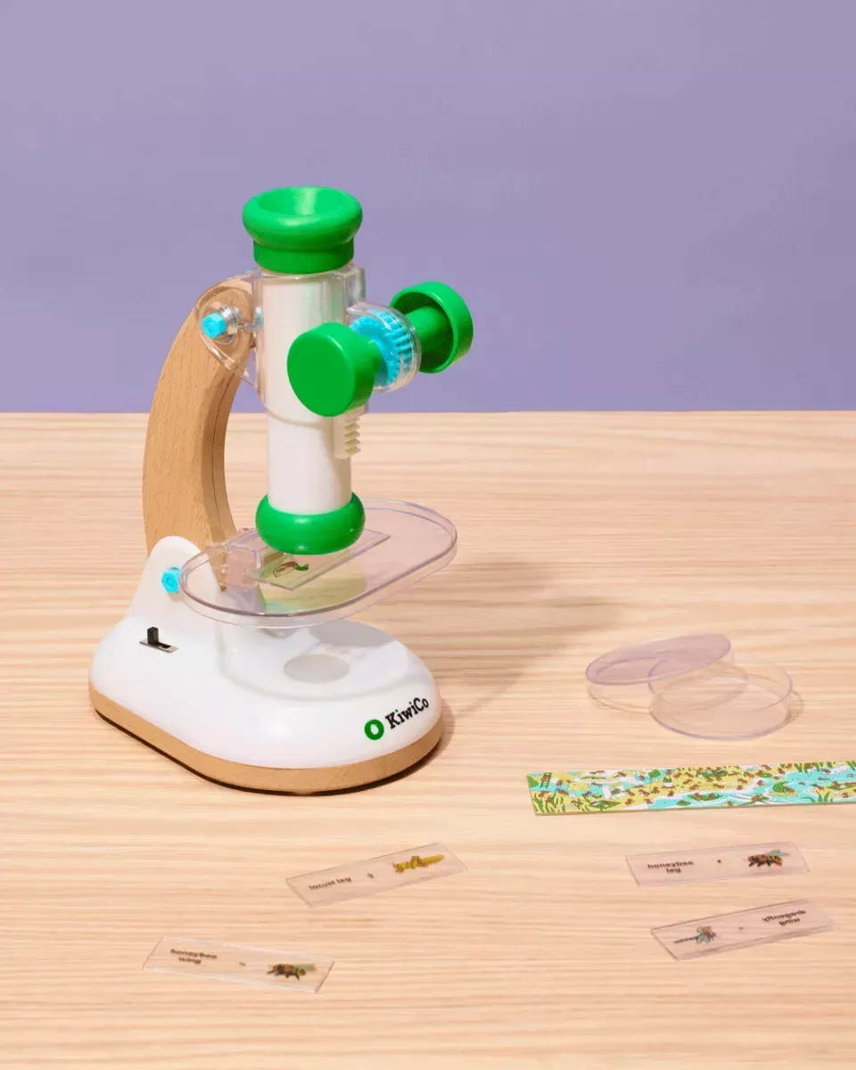 Reseña del set de exploración con microscopio de KiwiCo: Guía para padres sobre el aprendizaje práctico de ciencias