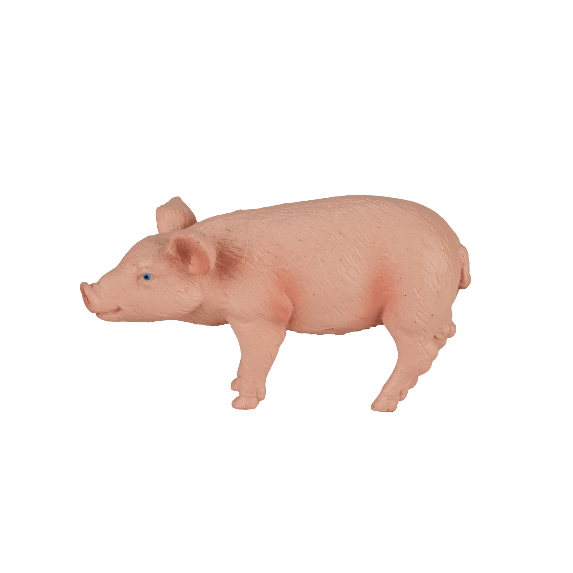 Cerdito