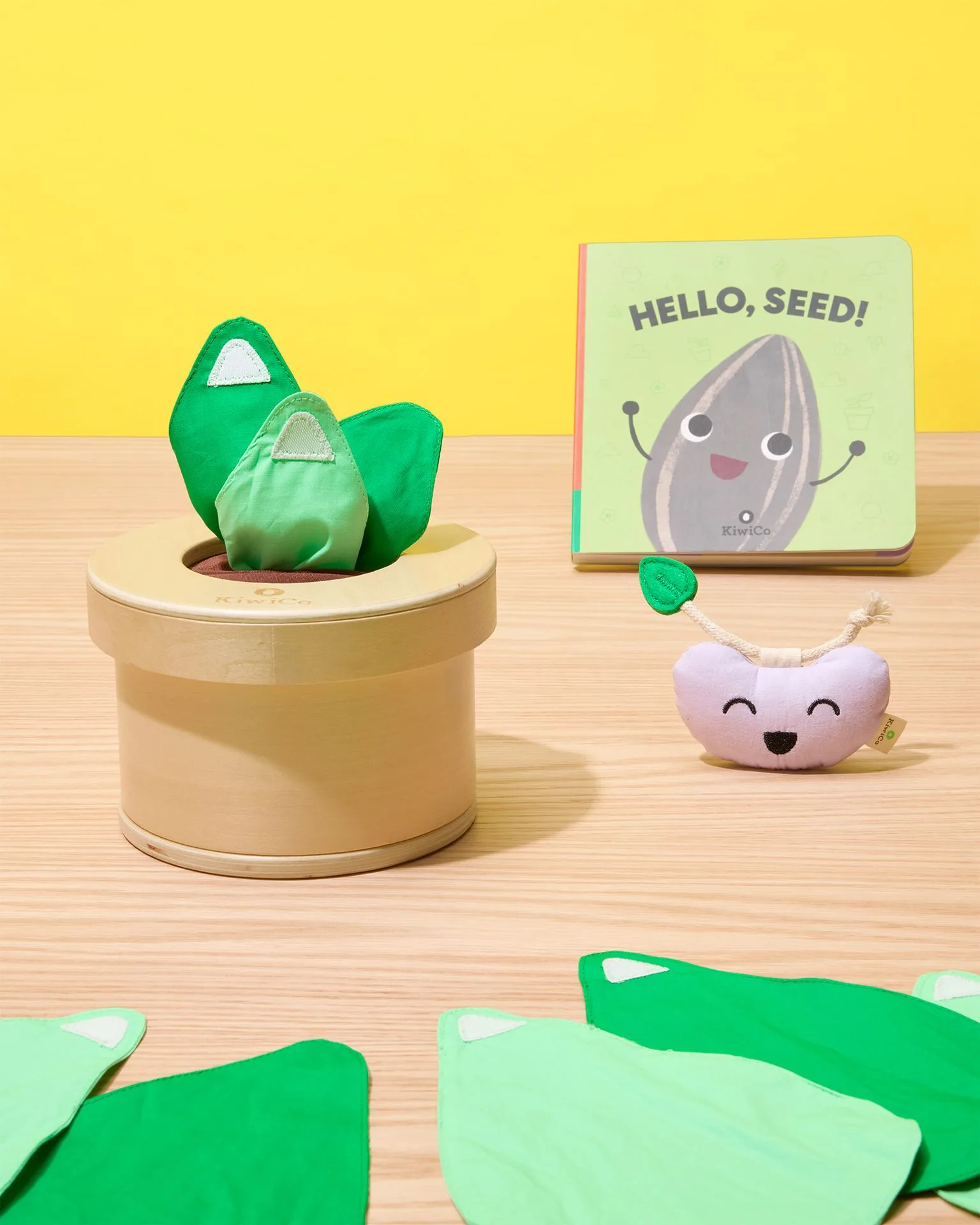 So verwenden Sie das KiwiCo Growing Seeds Tissue Box Spielzeug: Eine Schritt-für-Schritt-Gartenanleitung für Kinder