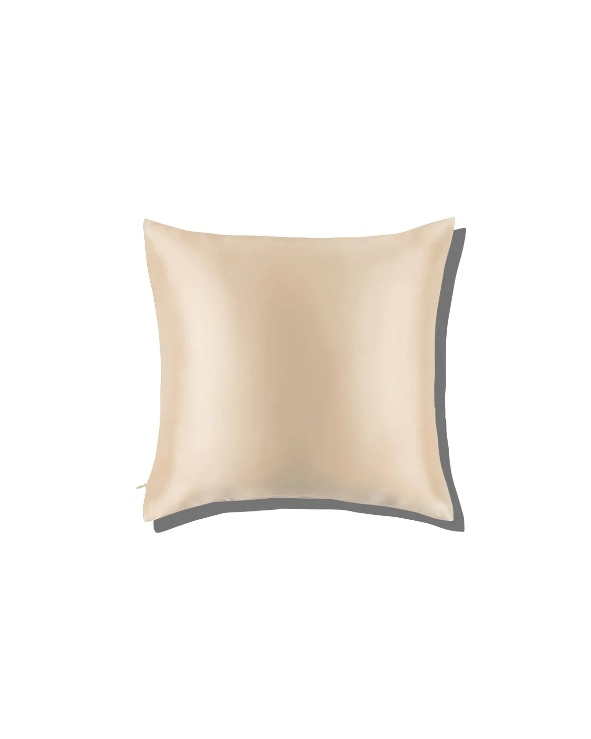 19 Momme Silk Euro Sham Pillowcase 31x31