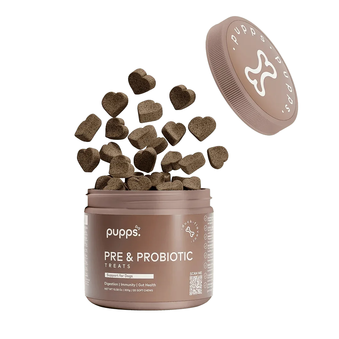Pupps Probiotic Treats For Dogs