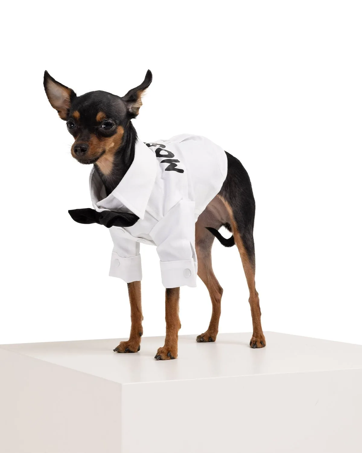 Groom Dog Shirt
