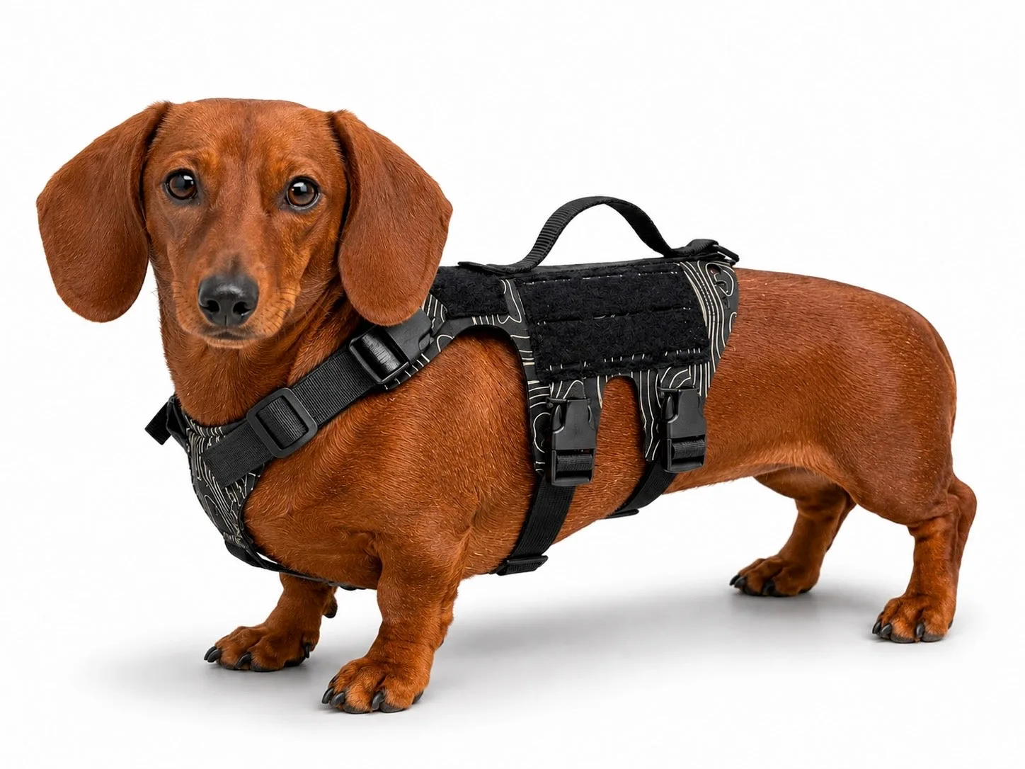 Ein Anfängerleitfaden für taktische Hundegeschirre: Geschirre, Leinen und Taschen